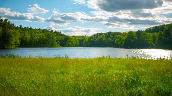 Scenic lake with grassy shoreline and trees under a partly cloudy sky in Minnetonka